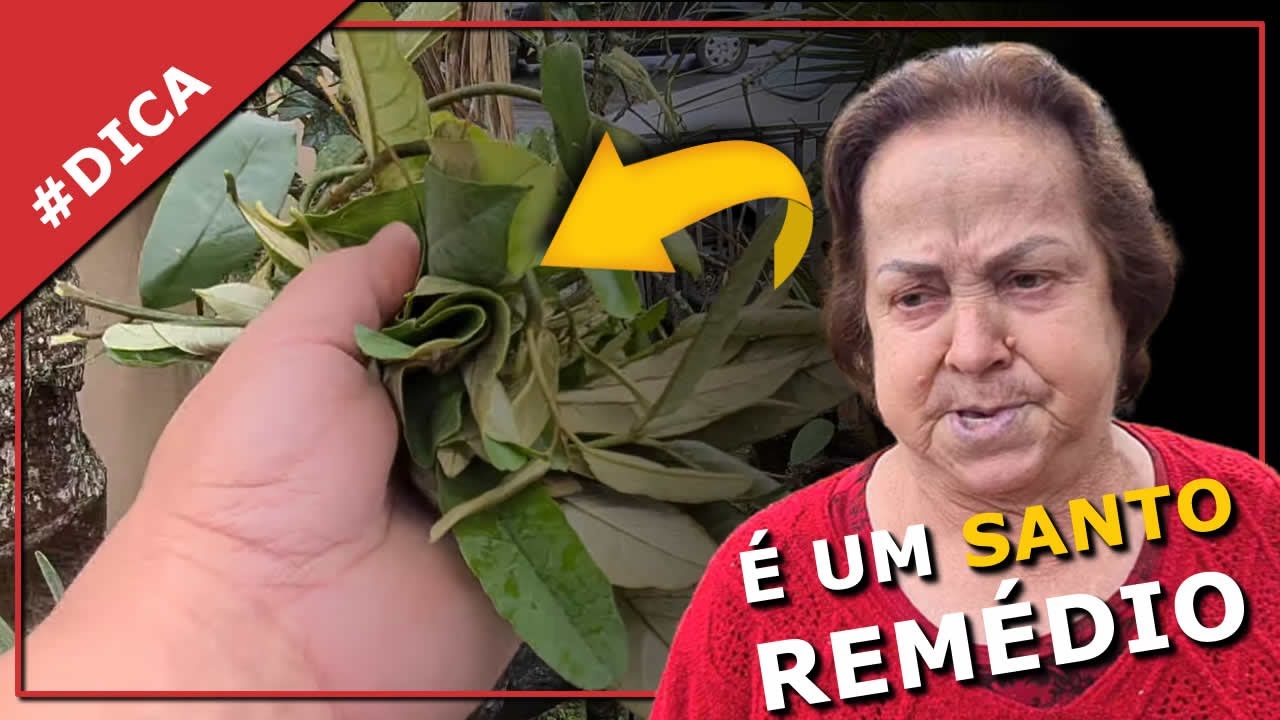 Essa folhas é um santo remédio pra Pedras nos rins.