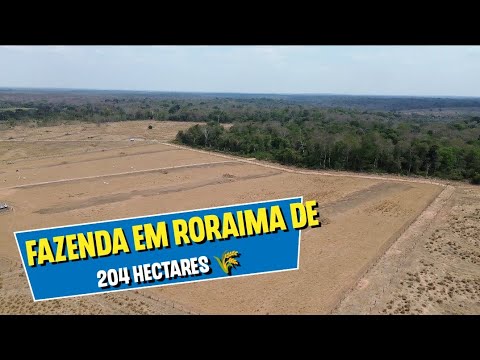 🔰Fazenda em Roraima de 204 hectares na região do Bonfim a 35km de Boa Vista, dupla aptidão agrícola