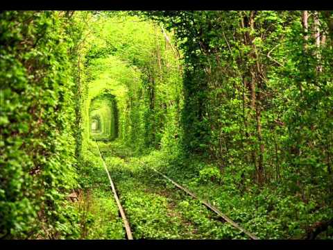 Garrido & Skehan feat. Isobel Mai - Stay (EDU Remix)