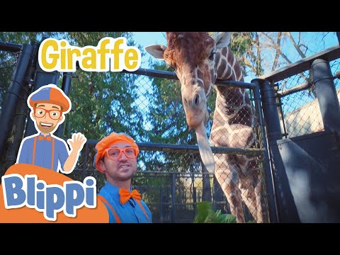 Learning Zoo Animals For Kids With Blippi & More Blippi Episodes | Educational Videos For Children