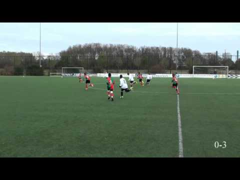 Doelpunten Zuidvogels