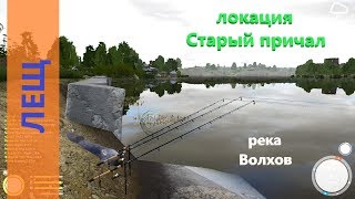 Как и когда ловить леща на реке волхова