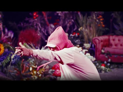 Miniatura de Pinky