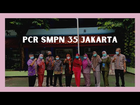 TEST PCR SMPN 35