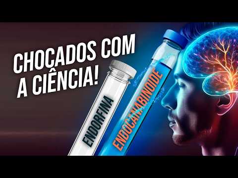 IT'S NOT ENDORPHINS | The Truth About Post-Workout Wellness