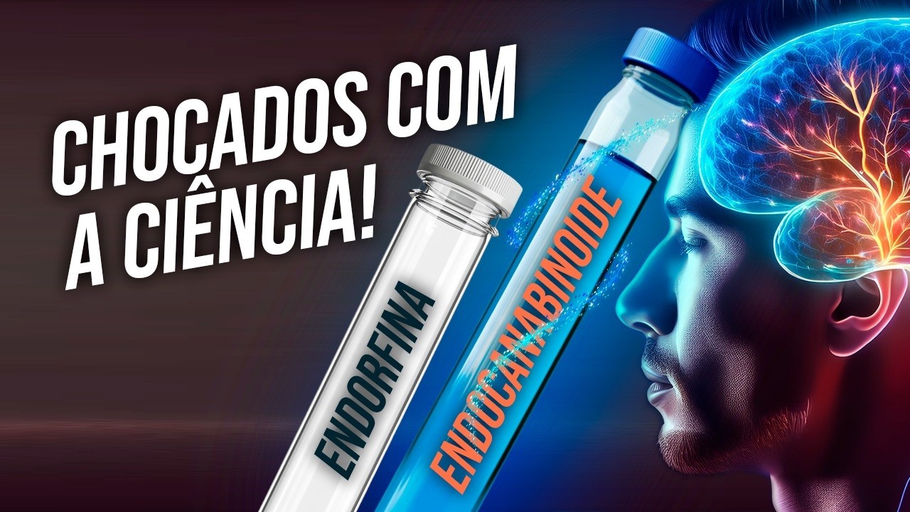 IT'S NOT ENDORPHINS | The Truth About Post-Workout Wellness