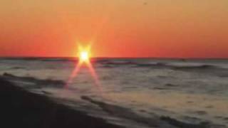 Adrian Belew One Of Those Days