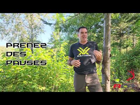 Le rythme des orignaux par Michel Therrien #orignal