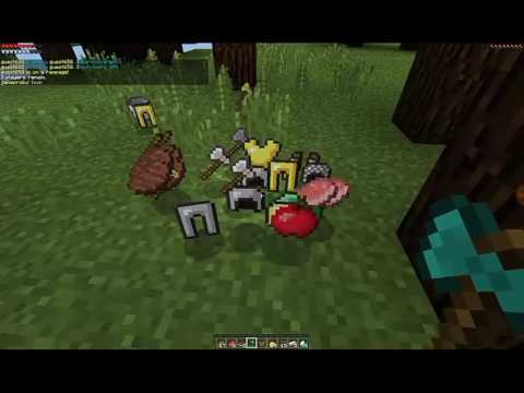 Minecraft hunger games