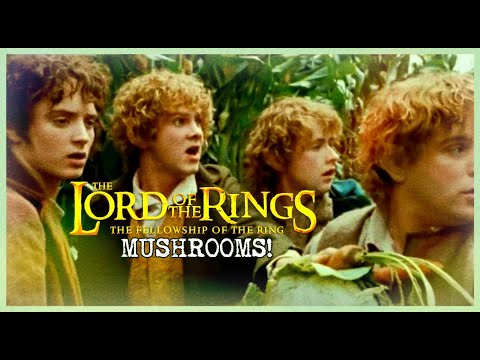 The Lord of the Rings: The Fellowship of the Ring - "Mushrooms!"