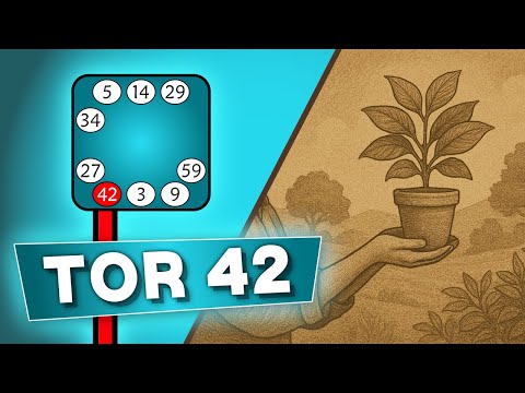 Human Design Tor 42 | Das Tor des Wachstums (42)