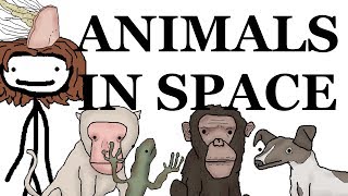 Animals in Space: A Brief History