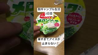 【脱ギャンブル生活2日目】暑すぎて、アイスが止まらな〜い！！