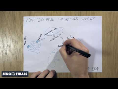 How do ACE inhibitors work?