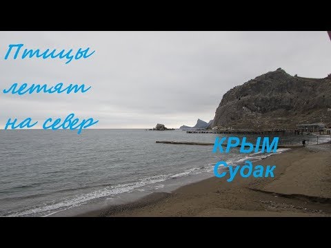 Скоро весна. Крым, Судак, Набережная и море: птицы летят на север