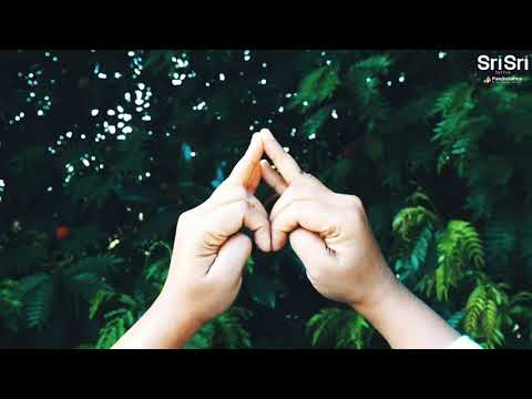 Shakti Mudra for Sleep disorders |mudra for sleep
