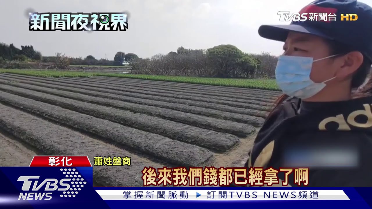 韭菜價格漲3倍 彰化菜田遭人偷割五千斤