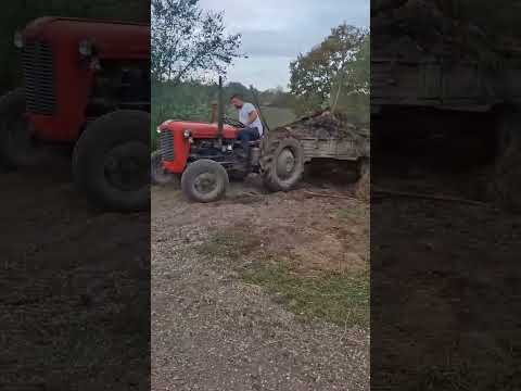 Nema problema za IMT traktor 💪 #tractor #imt #automobile #shortvideo