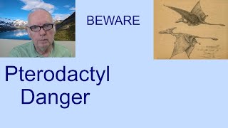 Pterodactyl Danger - American Dinosaurs