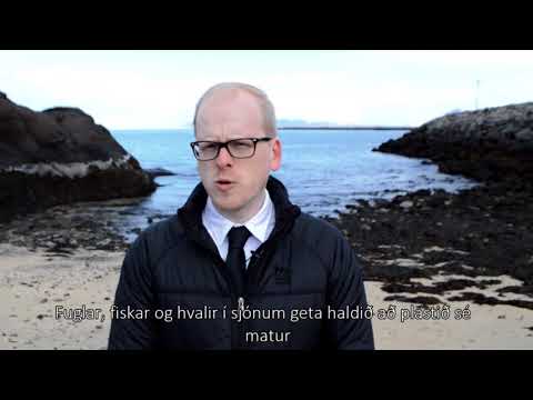 Af hverju á plast ekki heima í sjónum?