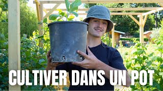 UN POTAGER SANS JARDIN : C’est possible !