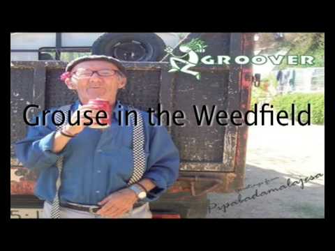 Grouse in the weedfield (Album Pipabadamalajesa)