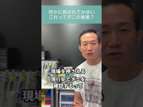 ダニを怖がらせる植物は何ですか?この夏、自然に害虫を撃退し、刺されを防ぐトップ 5 種  庭園