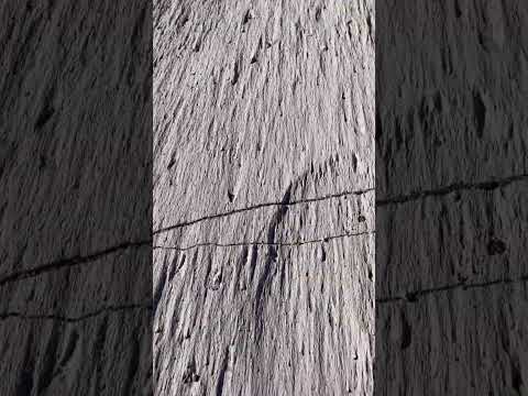 Campo de Piedra Pómez 🇦🇷