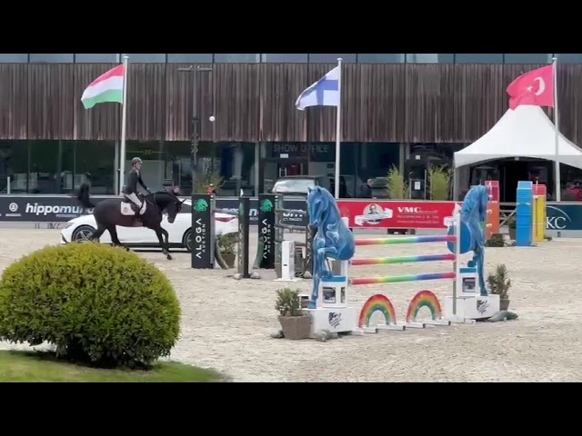 Half-brother of the mother is the CSI 1.55m Stallion Pegase van't Ruytershof  with Jeroen de Winter.