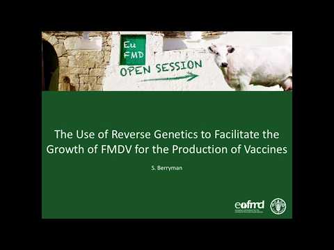 S. Berryman  - The use of reverse genetics to facilitate the growth of FMDV for the production [...]