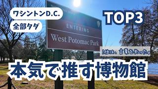 【ワシントンD.C.観光】全部タダ！？アメリカ在住者が本気で感動した無料博物館TOP3