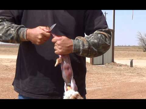 How to skin and clean a rabbit