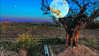 Pat Metheny & Charlie Haden  (The moon song)  パット・メセニー＆チャーリー・ヘイデン（月の歌）