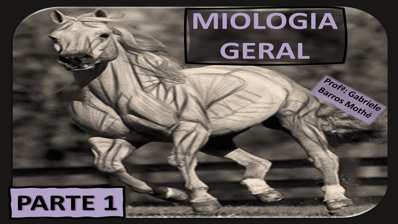 MIOLOGIA GERAL - parte 1 (anatomia veterinária)