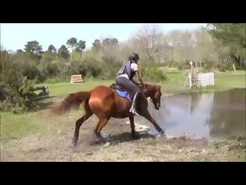 Entraînement Cross Ste Hélène Elodie & Opi / Mathilde & Taibo 19/04/19