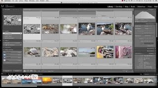 Smart Previews: Exploring Photography with Mark Wallace: AdoramaTV
