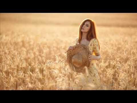 Solid Stone & Chris Severe - More (Extended Mix) [HQ]