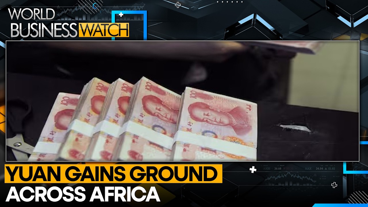 Yuan Builds A Financial Foothold In Africa | WION World Business Watch