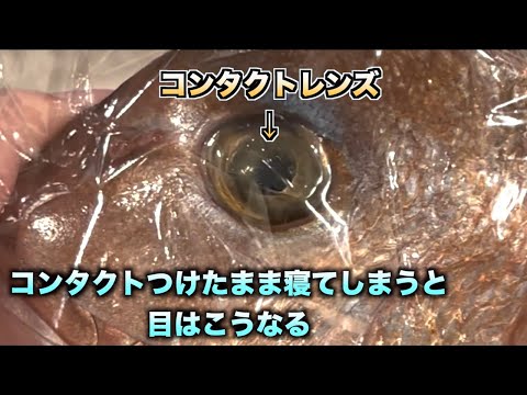 自分だけの自然な傷軟膏を作る トピックス