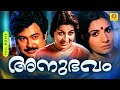 Anubhavam | അനുഭവം | Malayalam Movie | Sheela | Vincnet | Jayabarathi | Soman | I. V. Sasi