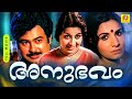 Anubhavam അനുഭവം Malayalam Movie Sheela Vincnet Jayabarathi Soman I V Sasi