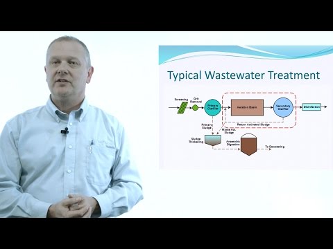 image-What is activated sludge process explain with diagram?