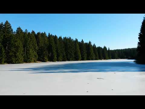 Der Bärenbrucher Teich bei Buntenbock, Stempelstelle 137 -Wandern im Harz mit der Harzer Wandernadel