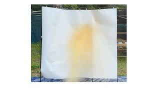 動画のサムネイル