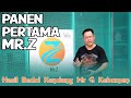 Panen Pertama Mr Z Hasil Bedol Kandang Mr G Kebumen Murai Batu Prestasi