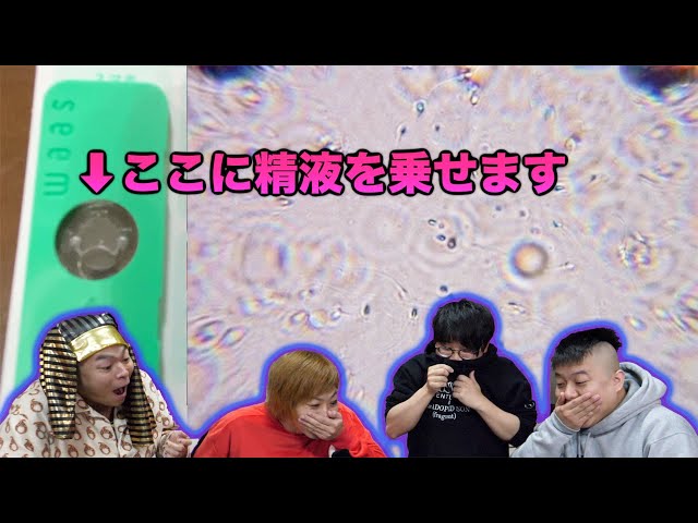 観察とは