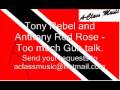 Tony Rebel & Anthony Red Rose - Too Much Gun Talk