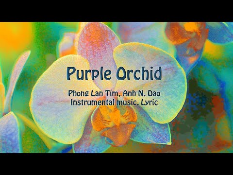 Purple Orchid, Anh N. Dao, Instrumental music, Lyric
