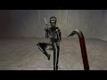 Half Life Female Assassin Overview