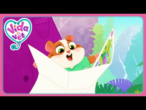 Dove Vanno I Popcorn? (Raccolta) | Vida la Vet | Cartoni animati per bambini